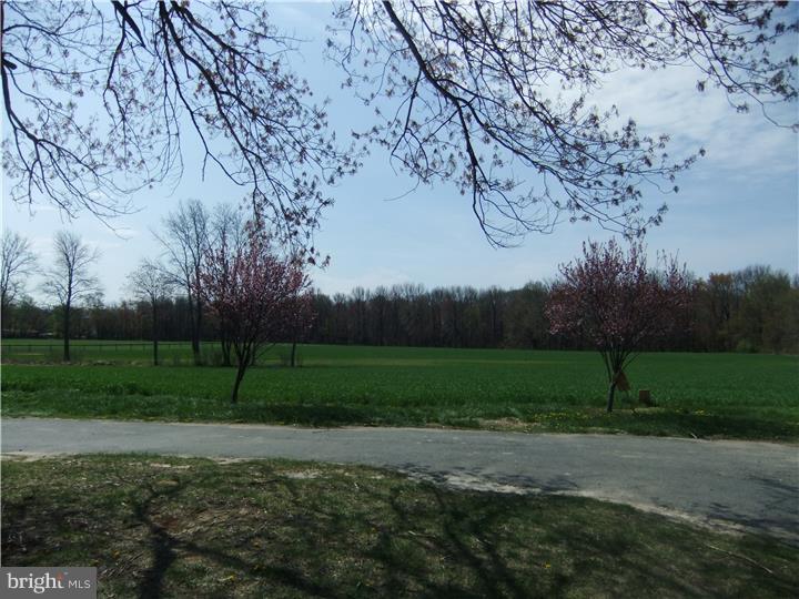 31 Allens Road Hightstown, NJ 08520 - Photo 7 of 7