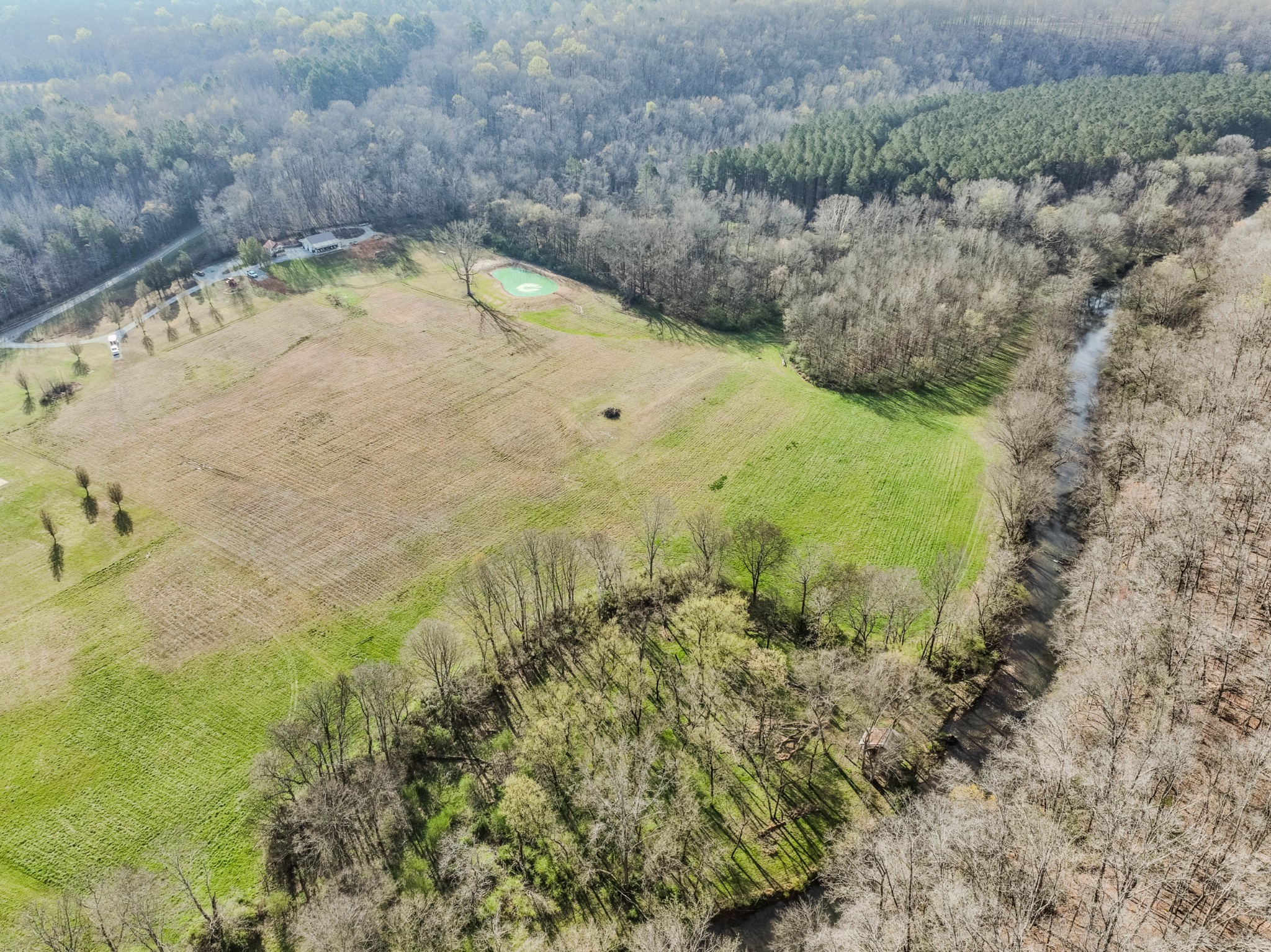 109 Rascal Town Road Loretto, TN 38469 - Photo 9 of 43 a view of swimming pool with a yard