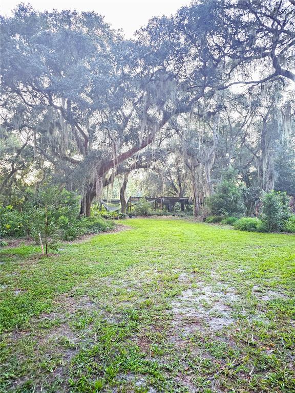 1080 Buckles Road Pierson, FL 32180 - Photo 1 of 1 Gallery Image 1