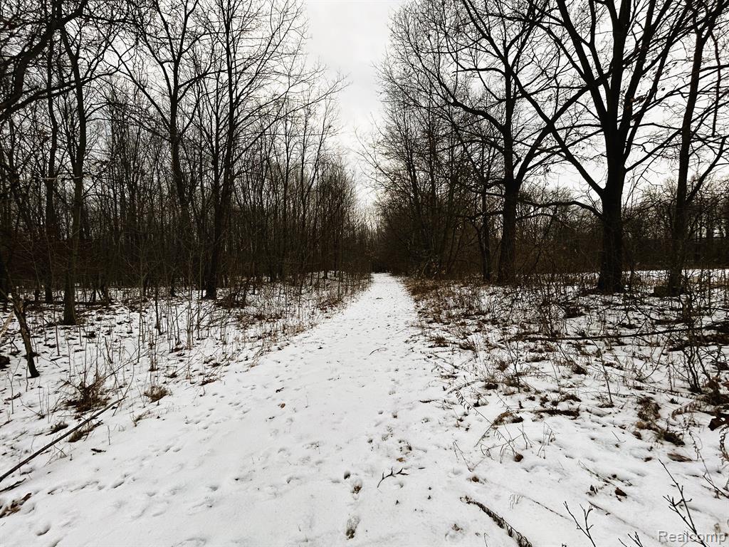 1726 Peavy Road Howell, MI 48843 - Photo 34 of 43