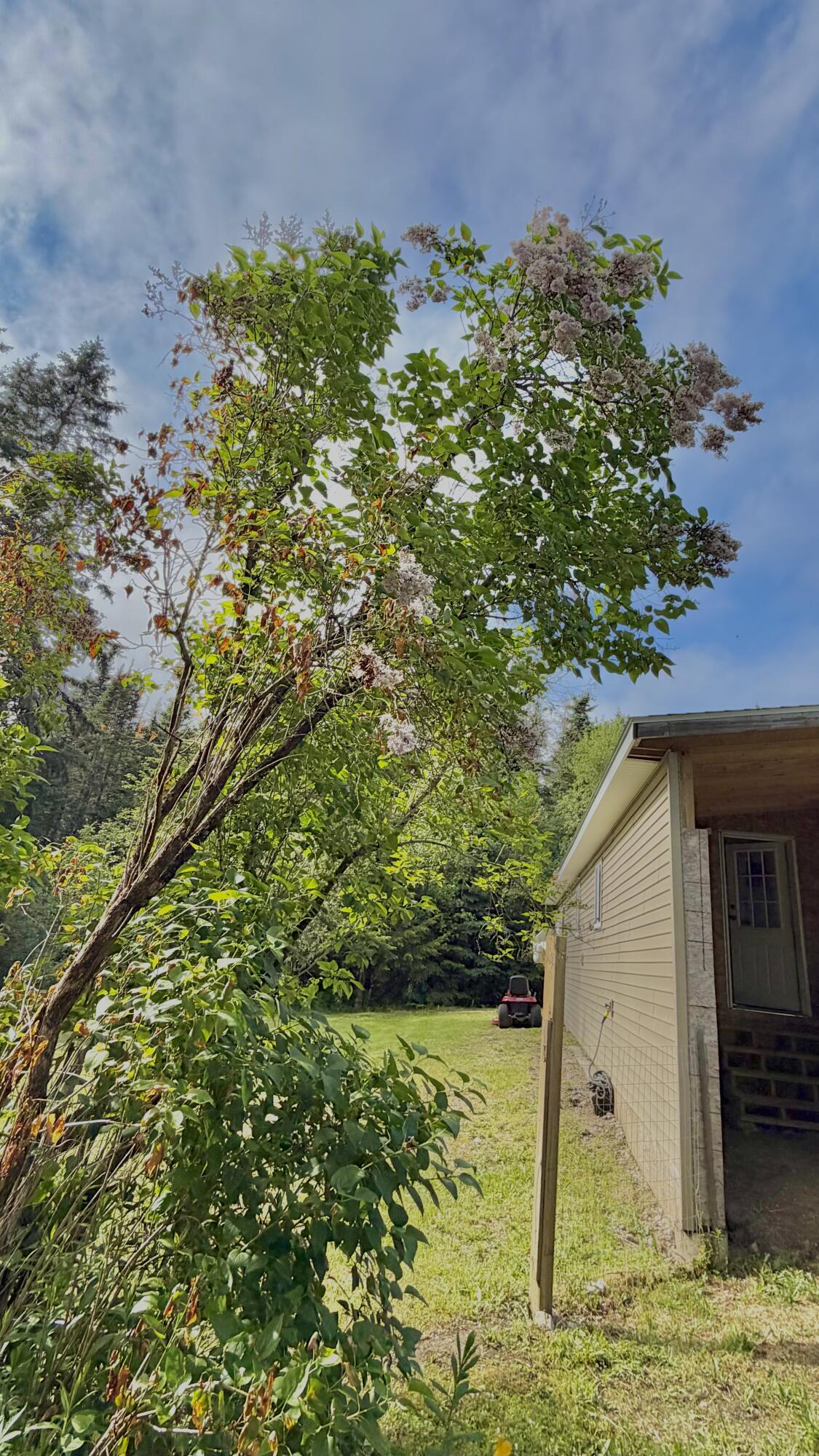 151 Pigeon Hill Road Steuben, ME 04680 - Photo 17 of 58