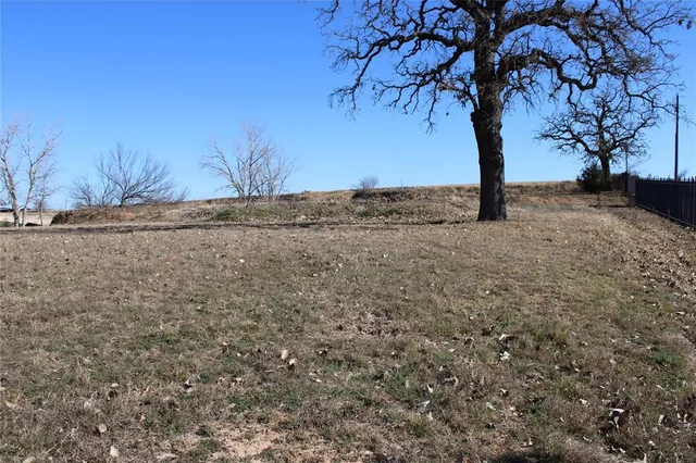 a view of a yard with a tree