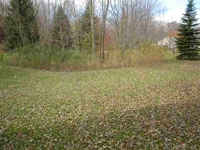 8548 Marsh Road Algonac, MI 48001 - Photo 5 of 11 31030726-4.JPG