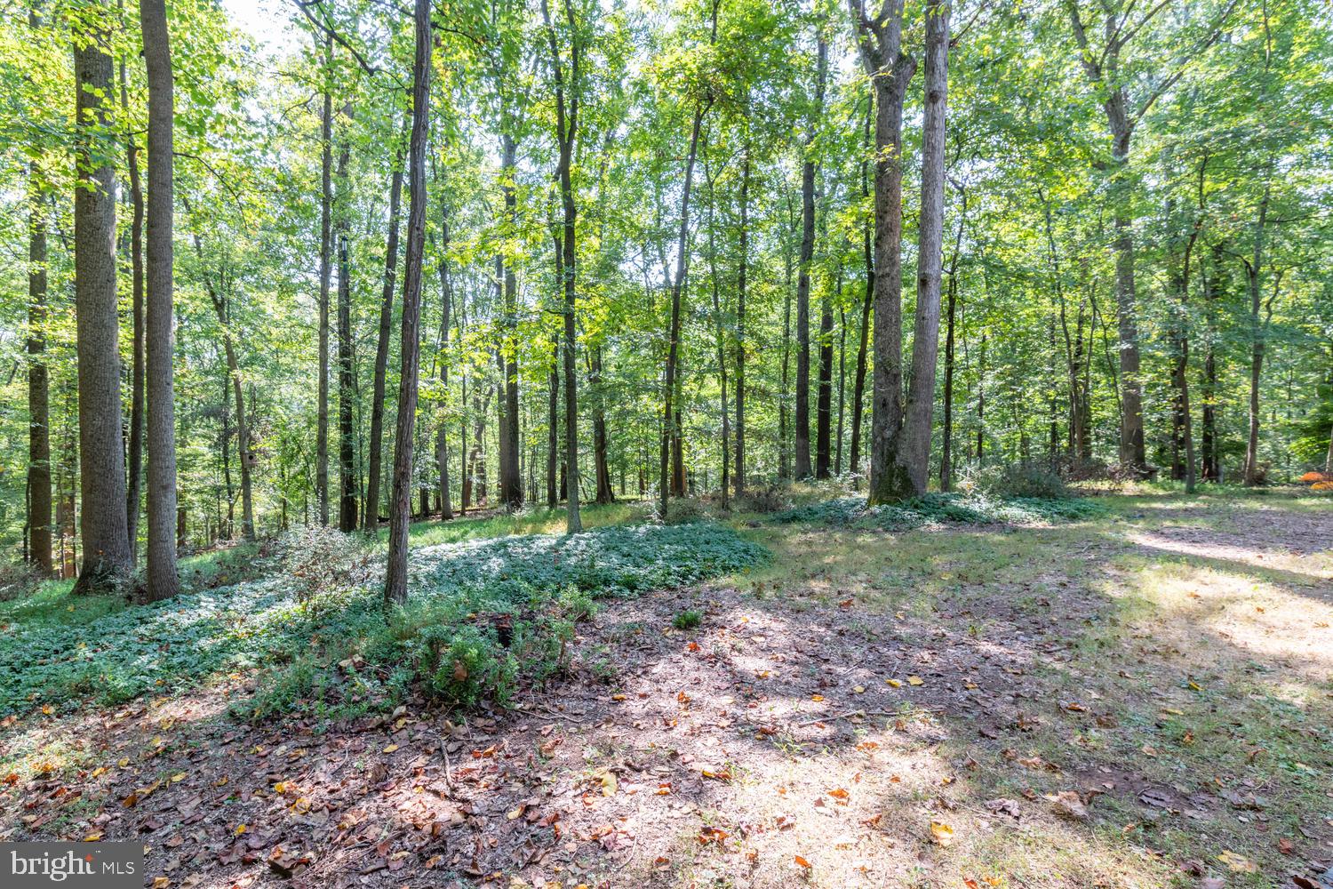 10322 Lloyd Road Potomac, MD 20854 - Photo 29 of 51