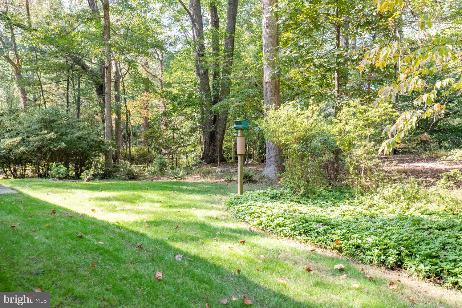 10322 Lloyd Road Potomac, MD 20854 - Photo 36 of 51