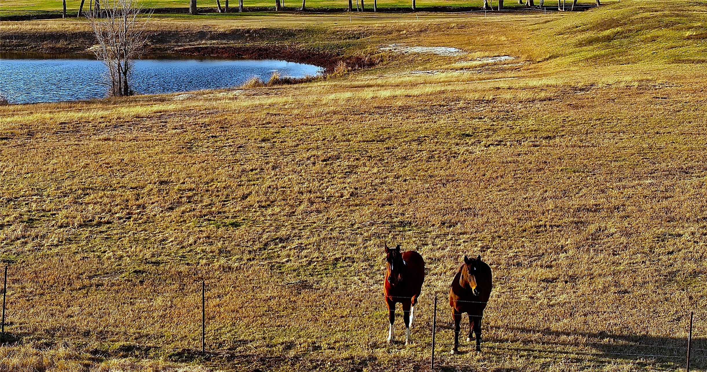 3283-2 Fm 2562 Road Anderson, TX 77830 - Photo 30 of 50 a view of a terrace