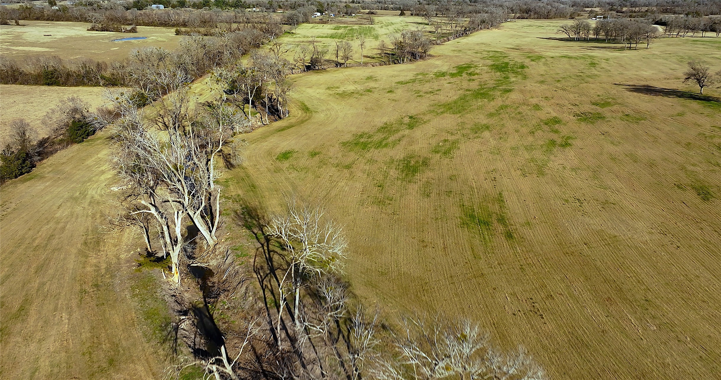 3283-2 Fm 2562 Road Anderson, TX 77830 - Photo 35 of 50