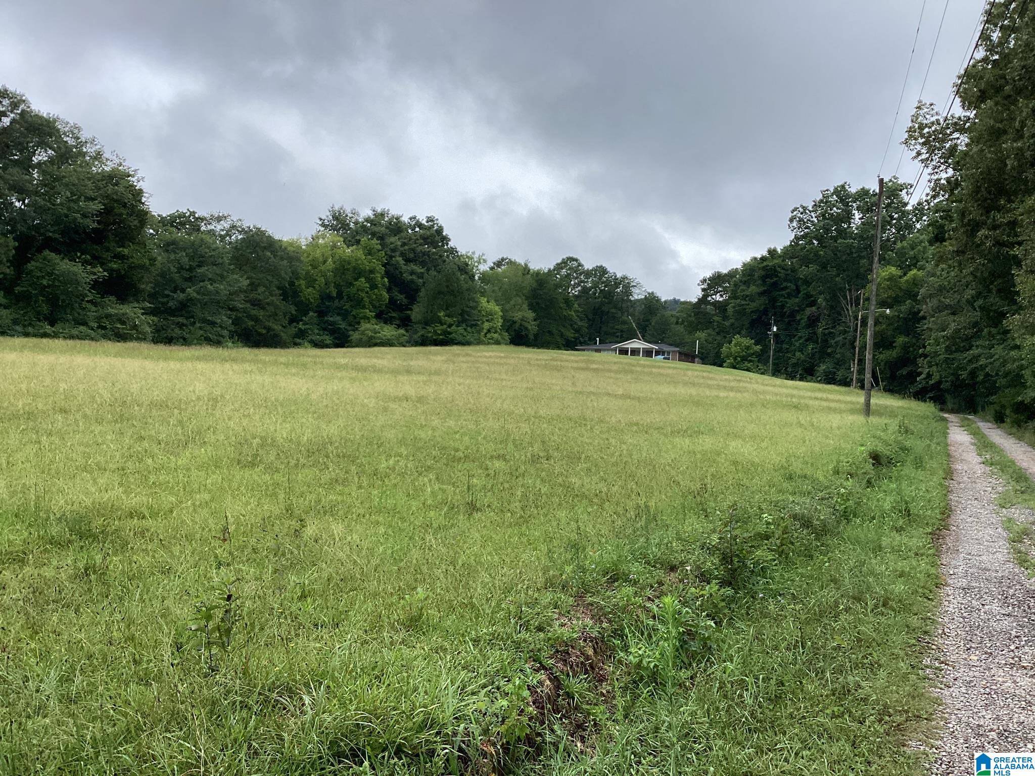 7392 Highway 75, Unit 1 Pinson, AL 35126 - Photo 2 of 12