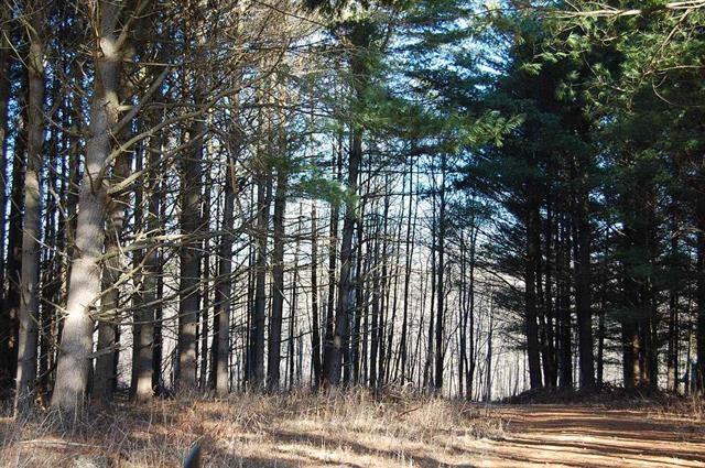 0 Fish Creek Road Poland, IN 47868 - Photo 4 of 5