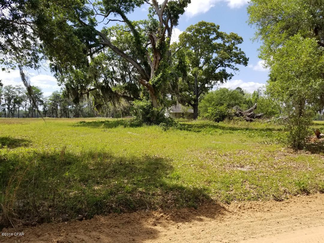 993 Strickland Road Marianna, FL 32448 - Photo 8 of 24 Gallery Image 8