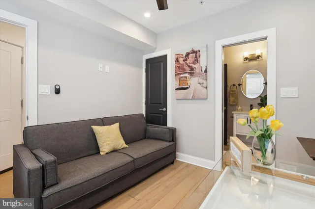 a living room with furniture and a potted plant
