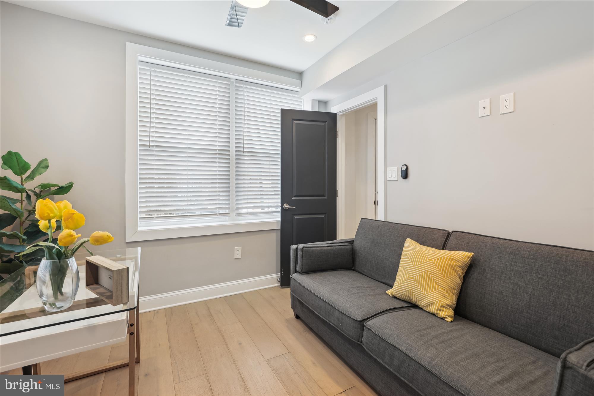 200 Hamilton Street Northwest, Unit 2 Washington, DC 20011 - Photo 8 of 16 a living room with furniture and a window