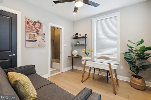 a living room with furniture potted plant and a window