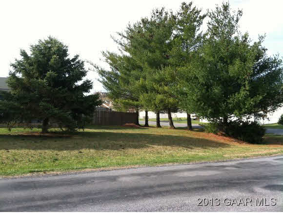 89 Buckboard Road Waynesboro, VA 22980 - Photo 3 of 13 a front view of a house with a yard