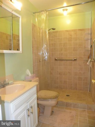 8218 Thornton Road Baltimore, MD 21204 - Photo 13 of 15 Bath (Master)