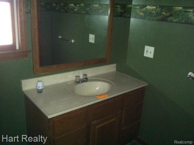 2430 Goetze Road Applegate, MI 48401 - Photo 7 of 12