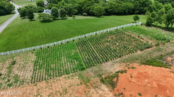 $240,000 | 925 Holston Shores Drive, Rutledge, TN 37861