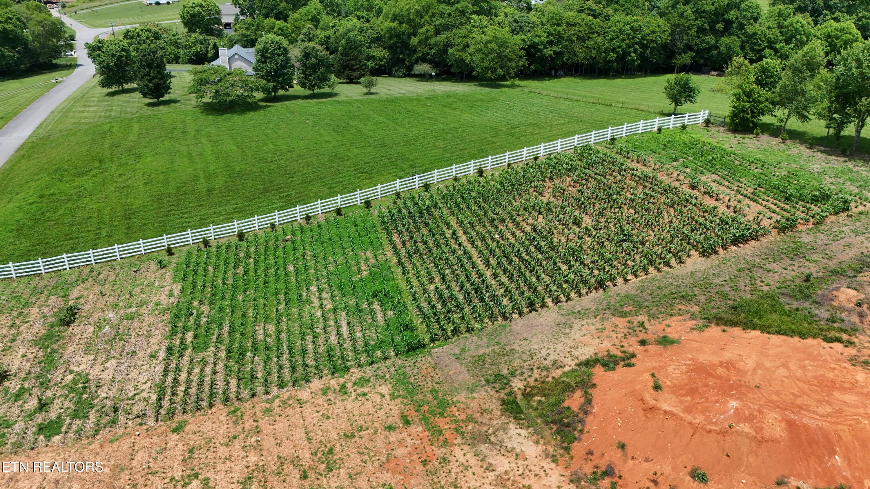 925 Holston Shores Drive Rutledge, TN 37861 - Photo 2 of 5 002