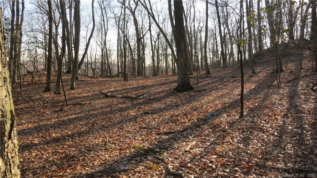 67 Umpawaug Road Redding, CT 06896 - Photo 2 of 7