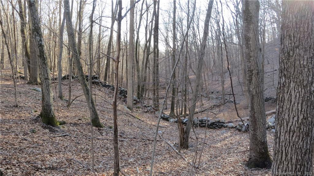 67 Umpawaug Road Redding, CT 06896 - Photo 6 of 7