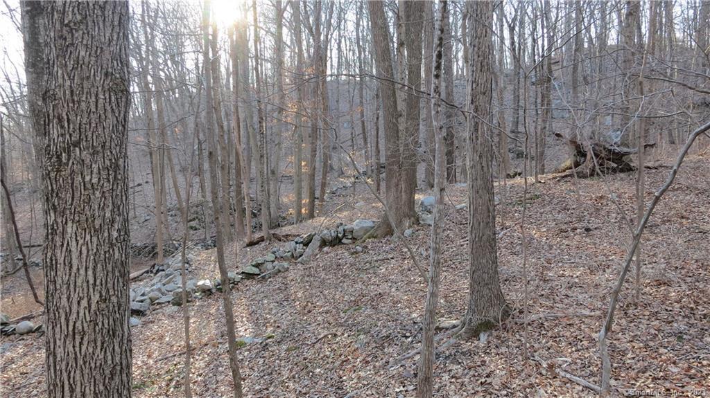 67 Umpawaug Road Redding, CT 06896 - Photo 7 of 7