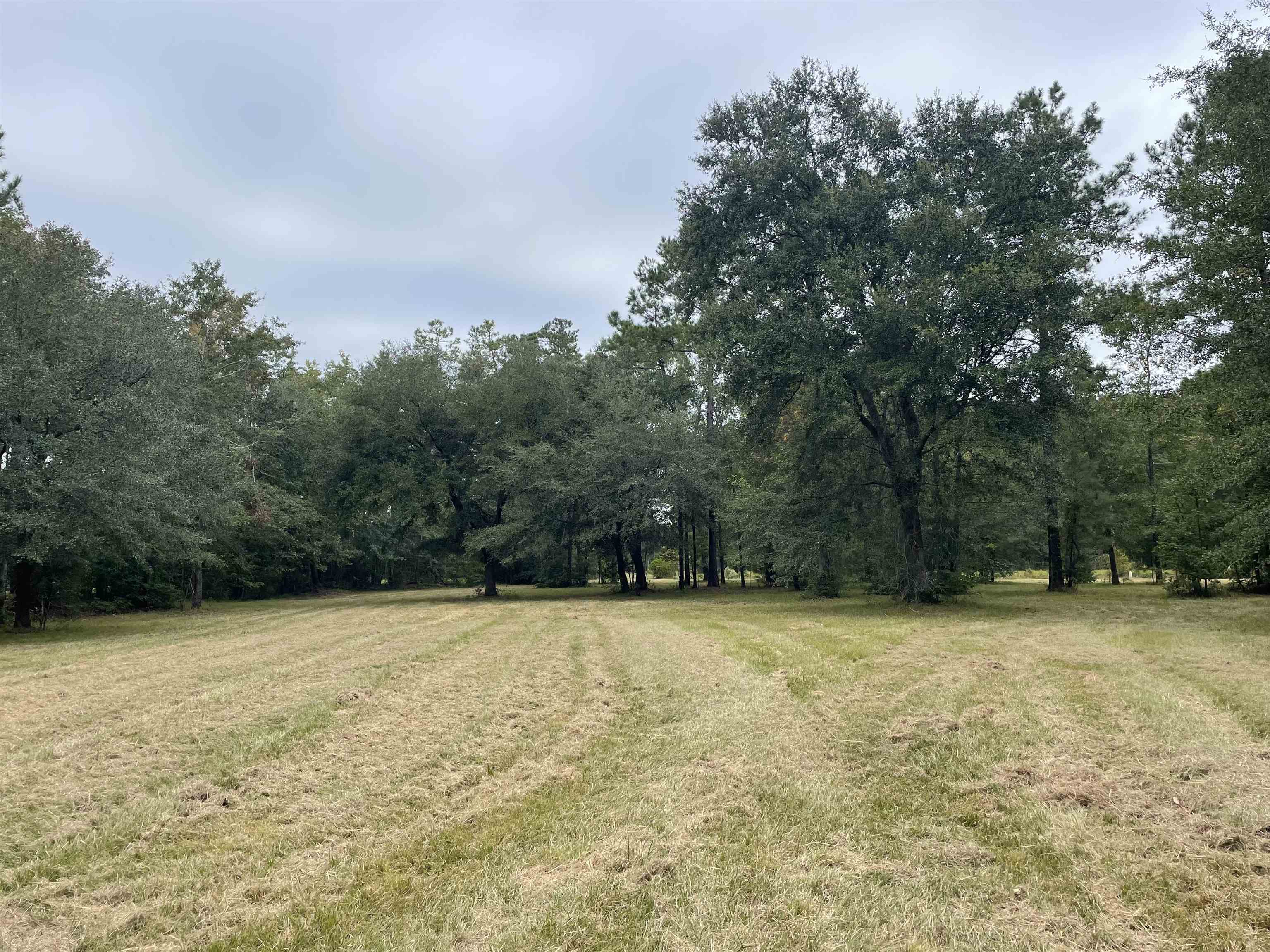 215 Nesmith Corner Road Nesmith, SC 29580 - Photo 8 of 10