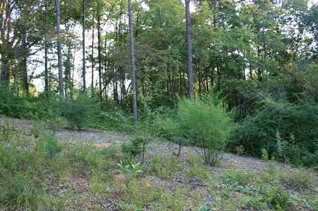 13 Laurel Ridge Seneca, SC 29678 - Photo 15 of 23 Gallery Image 15
