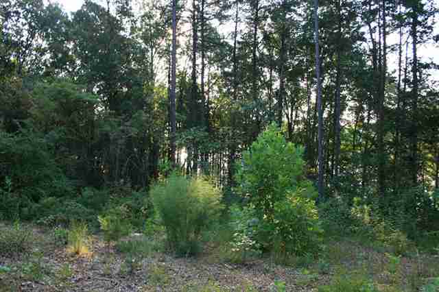 13 Laurel Ridge Seneca, SC 29678 - Photo 16 of 23 Gallery Image 16