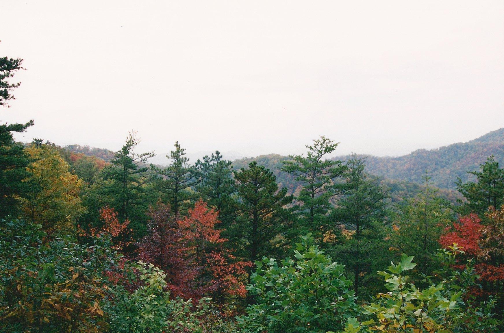 031 Off Henry Town Road Sevierville, TN 37862 - Photo 2 of 17 014