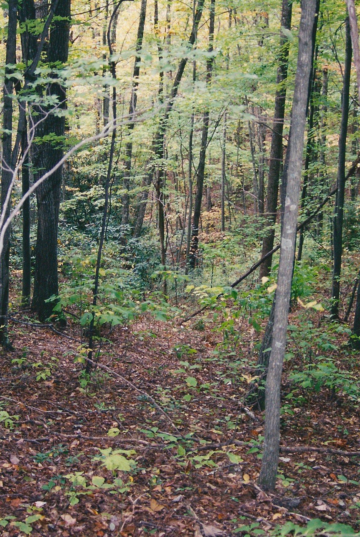 031 Off Henry Town Road Sevierville, TN 37862 - Photo 14 of 17 016