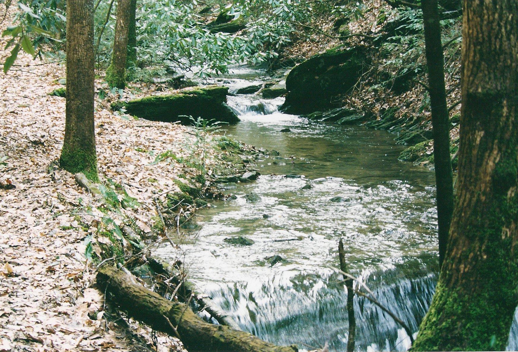 031 Off Henry Town Road Sevierville, TN 37862 - Photo 15 of 17 018
