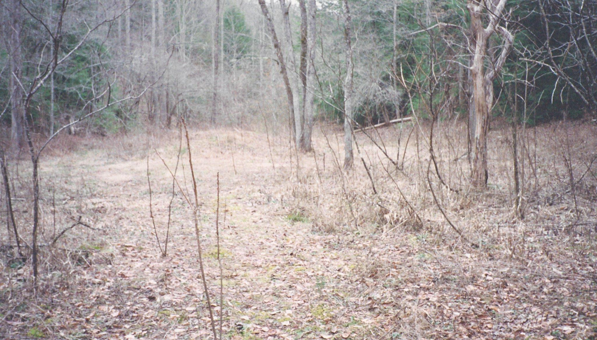 031 Off Henry Town Road Sevierville, TN 37862 - Photo 4 of 17 011