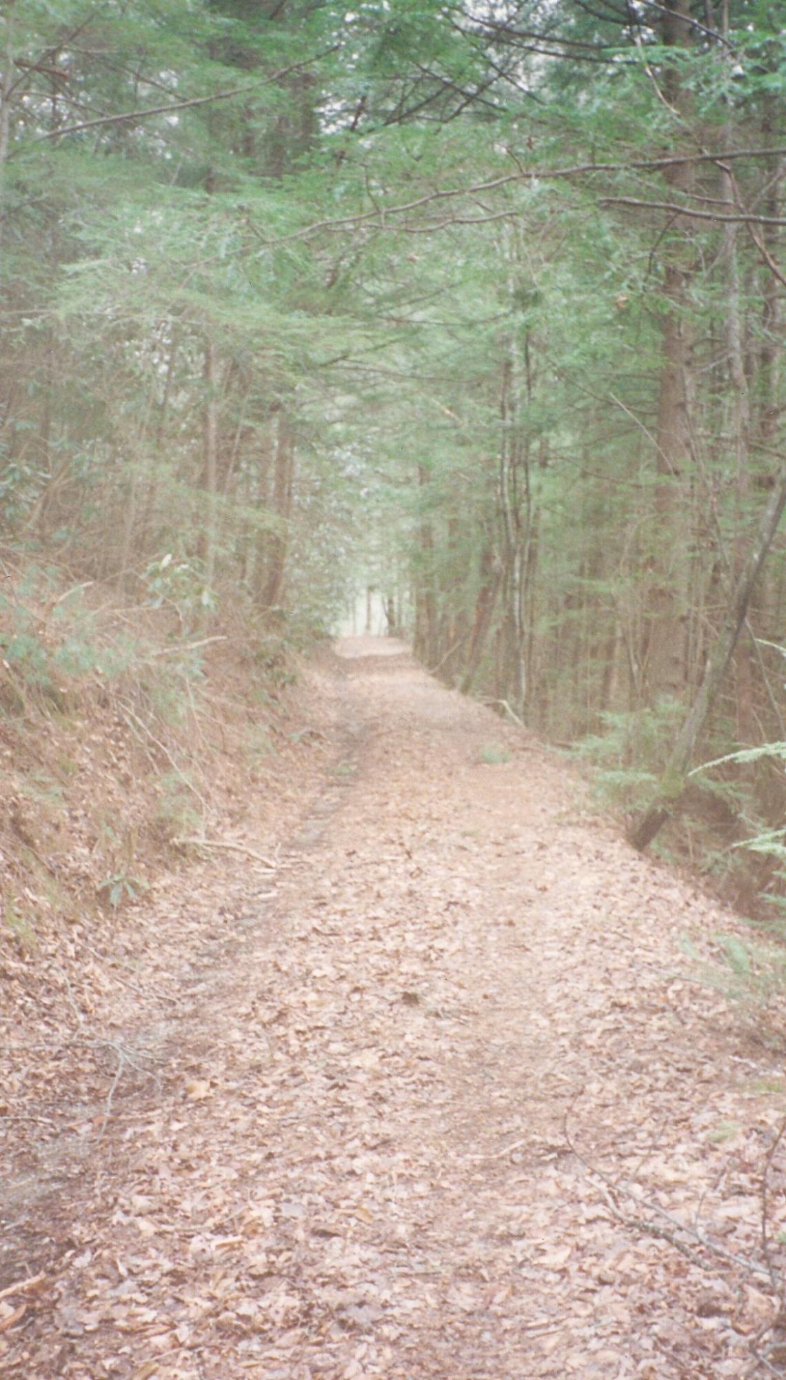 031 Off Henry Town Road Sevierville, TN 37862 - Photo 5 of 17 001
