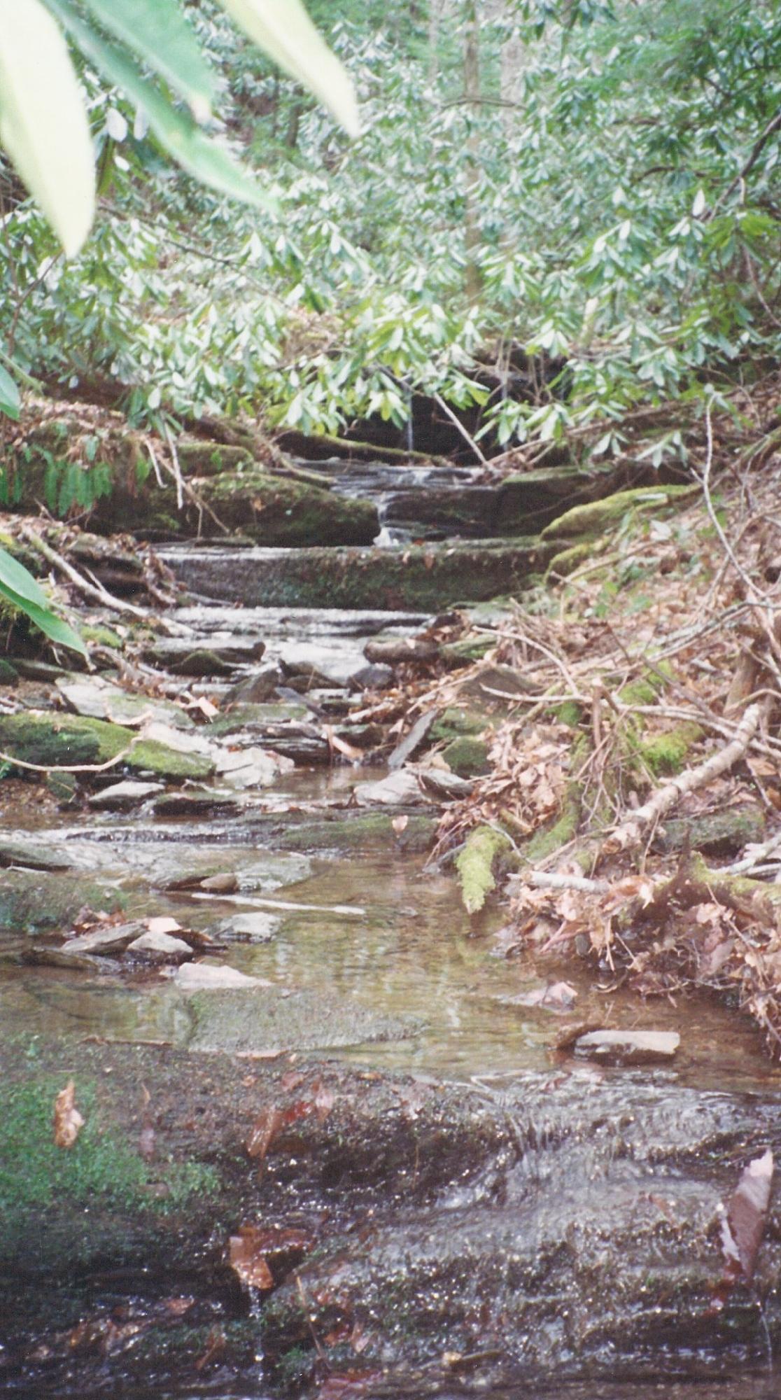 031 Off Henry Town Road Sevierville, TN 37862 - Photo 6 of 17 003