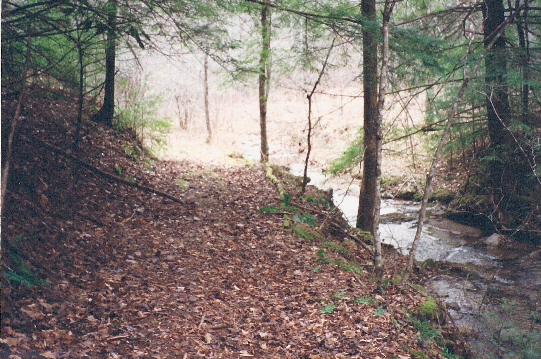 031 Off Henry Town Road Sevierville, TN 37862 - Photo 8 of 17 006