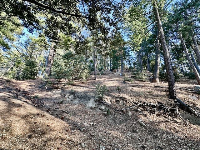 Green Craig Idyllwild Ca Idyllwild, CA 92549 - Photo 8 of 24 a view of backyard with green space
