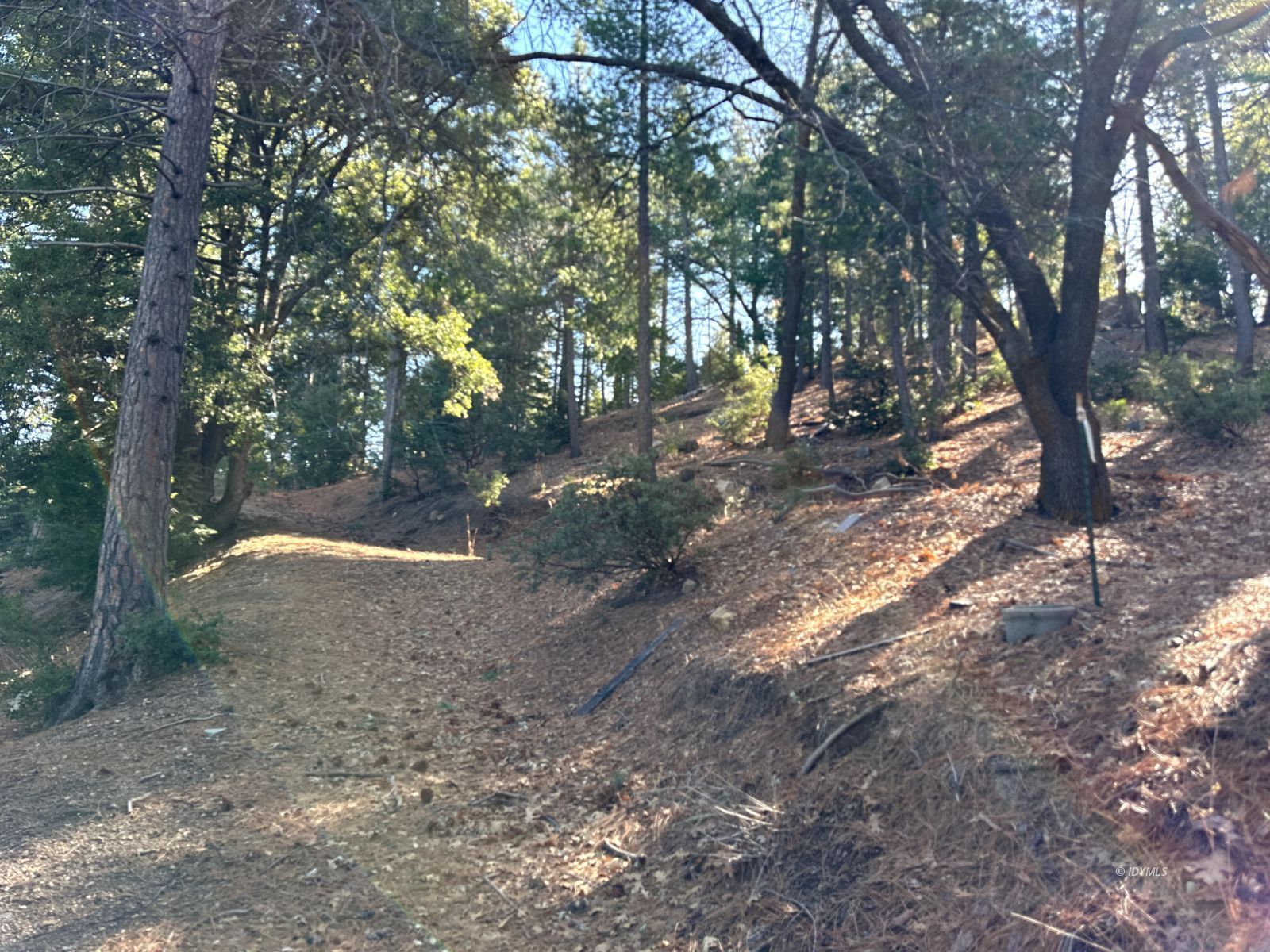 Green Craig Idyllwild Ca Idyllwild, CA 92549 - Photo 9 of 24 a view of a yard with trees