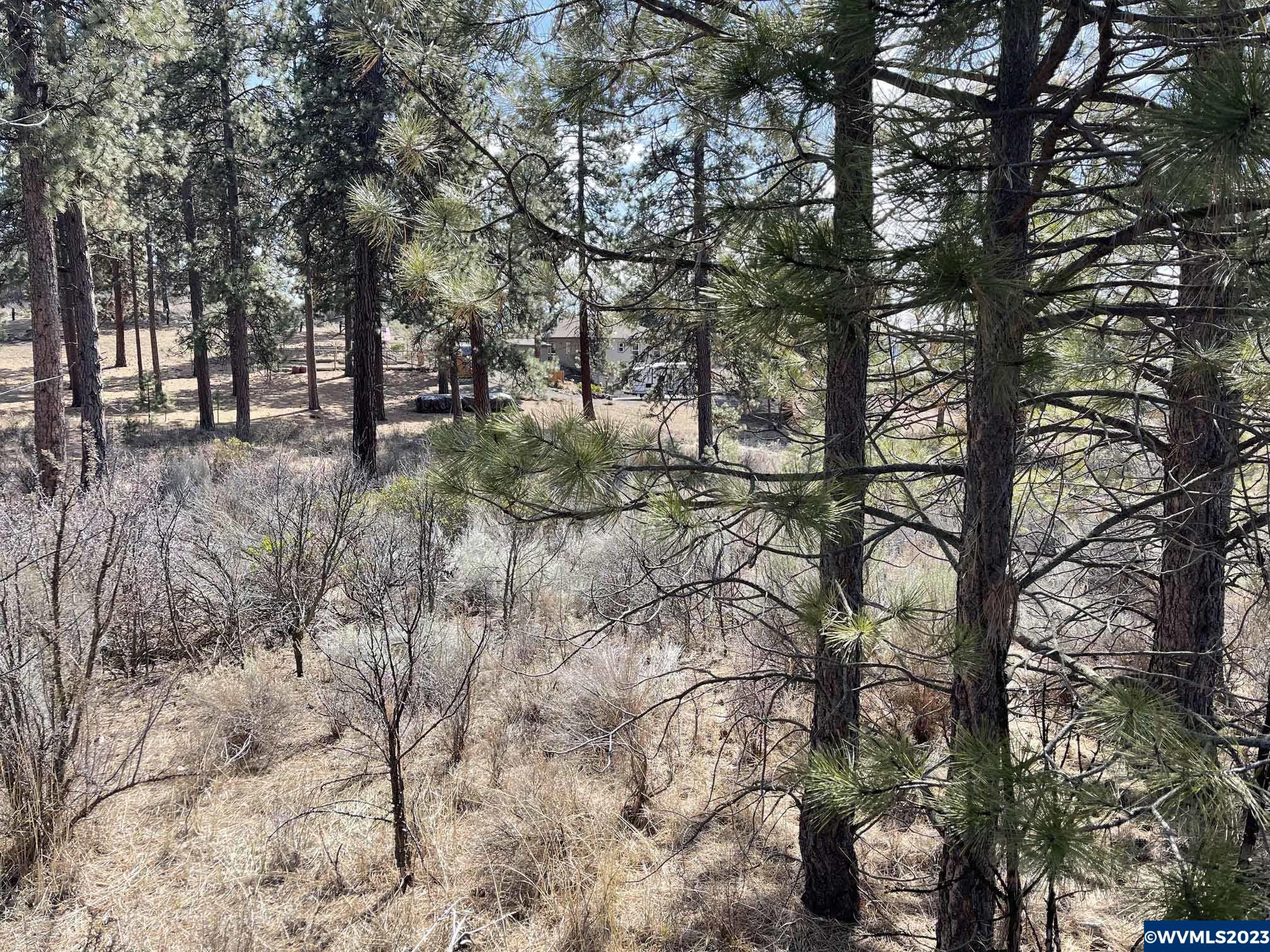 Irving (lot Chiloquin, OR 97624 - Photo 4 of 9