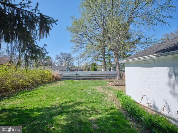 a view of backyard with tree