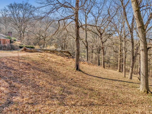a view of a house with a yard and covered with tall trees