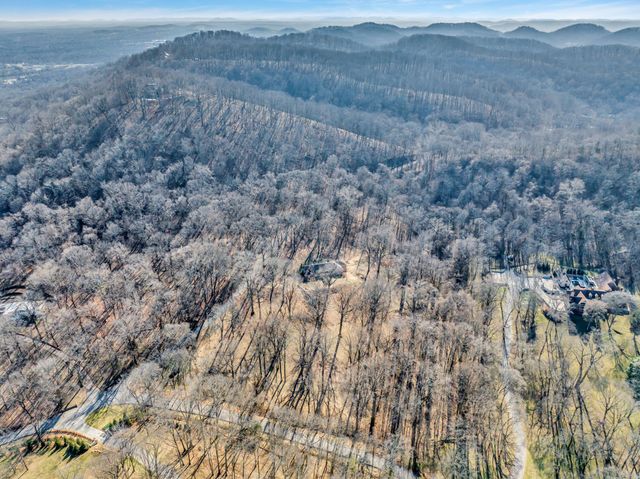 a view of a dry yard