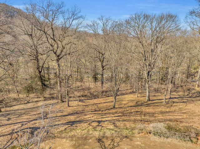 a view of a yard with wooden fence and large trees