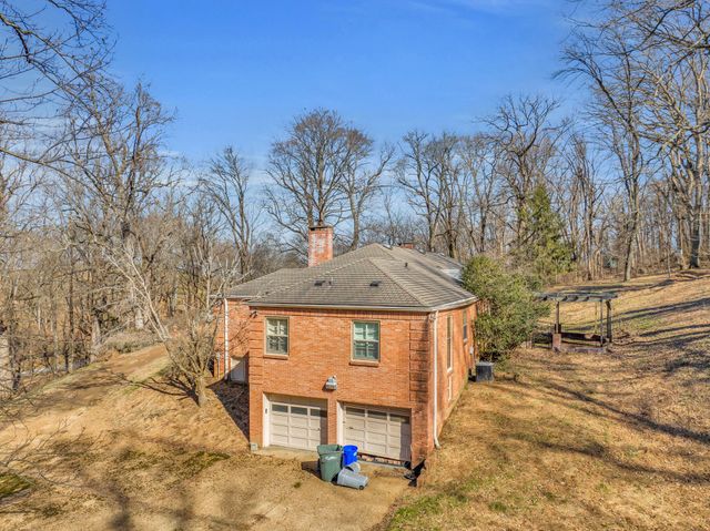 a view of a dry field with trees in the background