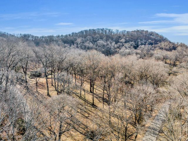 a view of a dry field with trees in the background