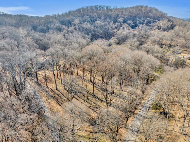 a view of a dry yard with trees