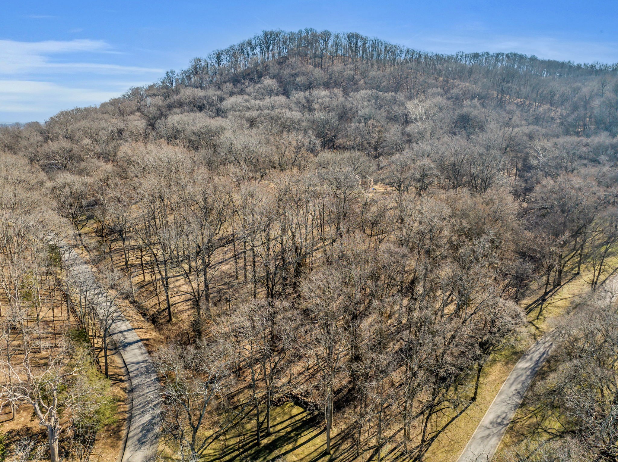 945 Overton Lea Road Nashville, TN 37220 - Photo 31 of 32 Gallery Image 31