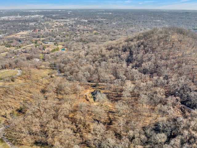 a view of a dry yard