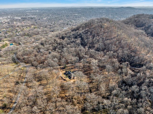 a view of a dry yard in middle of forest