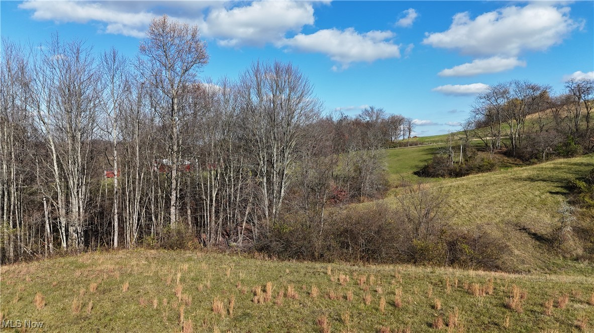 2305 Hardesty Road Norwich, OH 43767 - Photo 9 of 35 View of landscape