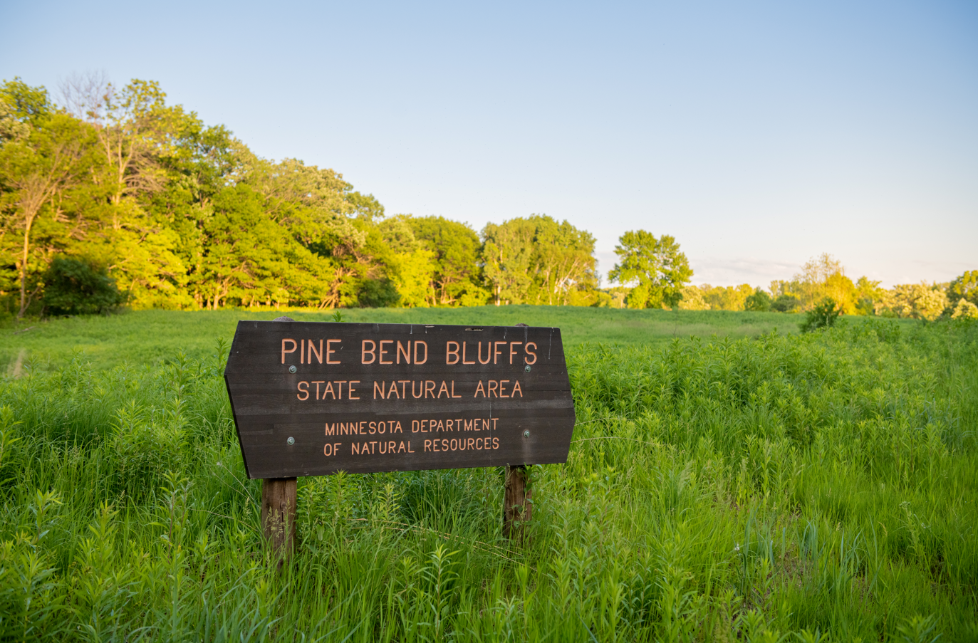 14986 Adare Way Rosemount, MN 55068 - Photo 44 of 45